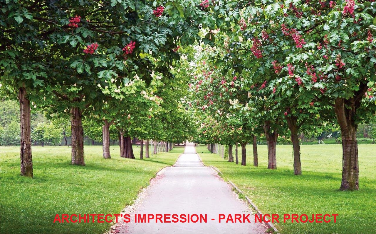 Architect’s Imptression Park Project SBL